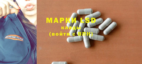 ГАЛЛЮЦИНОГЕННЫЕ ГРИБЫ Белокуриха
