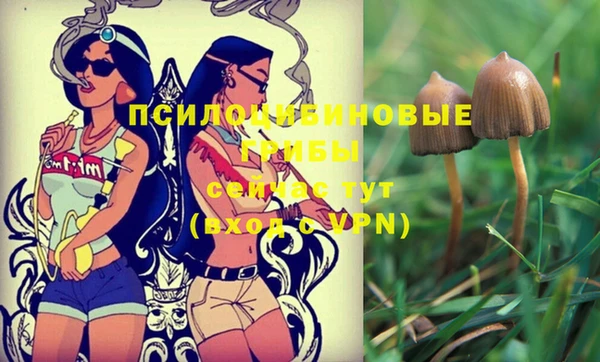ГАЛЛЮЦИНОГЕННЫЕ ГРИБЫ Белокуриха