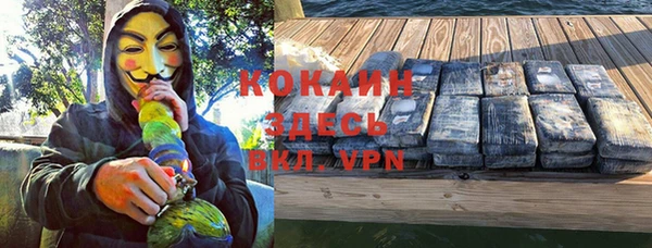 ГАЛЛЮЦИНОГЕННЫЕ ГРИБЫ Белокуриха
