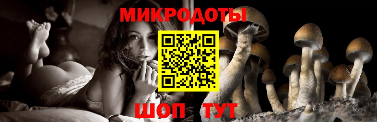 Псилоцибиновые грибы MAGIC MUSHROOMS Буйнакск